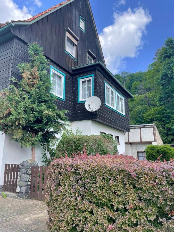 Sonniges Apartment Altenbrak Dış mekan fotoğraf