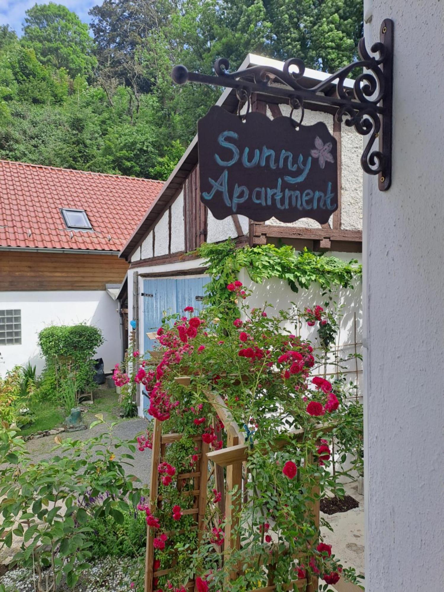 Sonniges Apartment Altenbrak Dış mekan fotoğraf