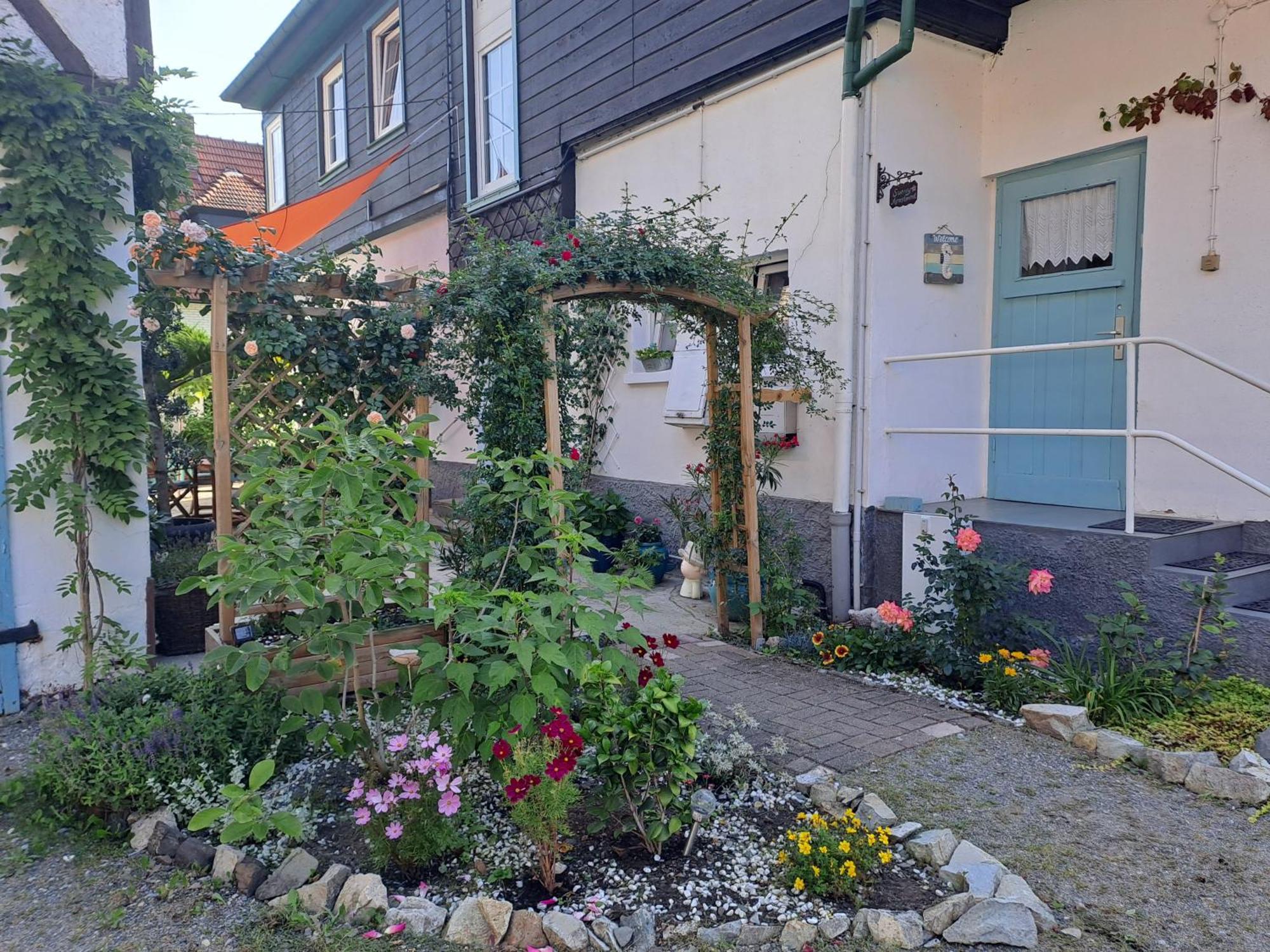 Sonniges Apartment Altenbrak Dış mekan fotoğraf